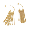 Elegant Beauty Earring